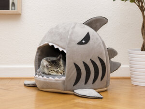 Kattenmand haai grijs