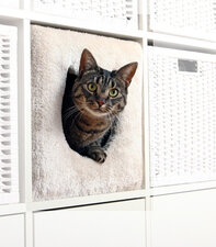 Kat huis voor Ikea Kallax kast beige