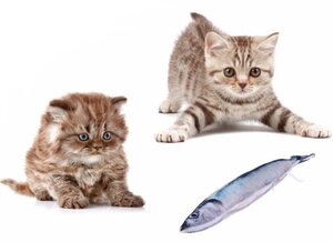 Catnip vis katten speelgoed (20cm) blauw