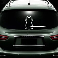 Raamsticker auto kat
