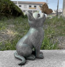 Kattenbeeldje: Kat met vlinder op neus